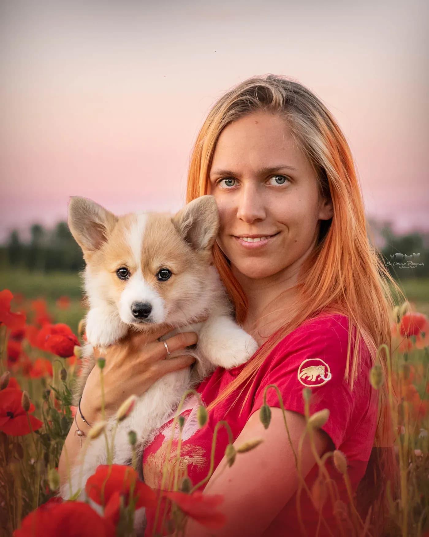 Katharina übt mit einem jungen Border Collie die ersten Grundlagen