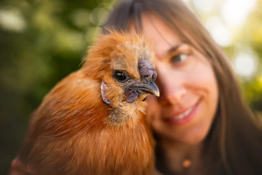Katharina Wange an Wange mit einem Seidenhuhn